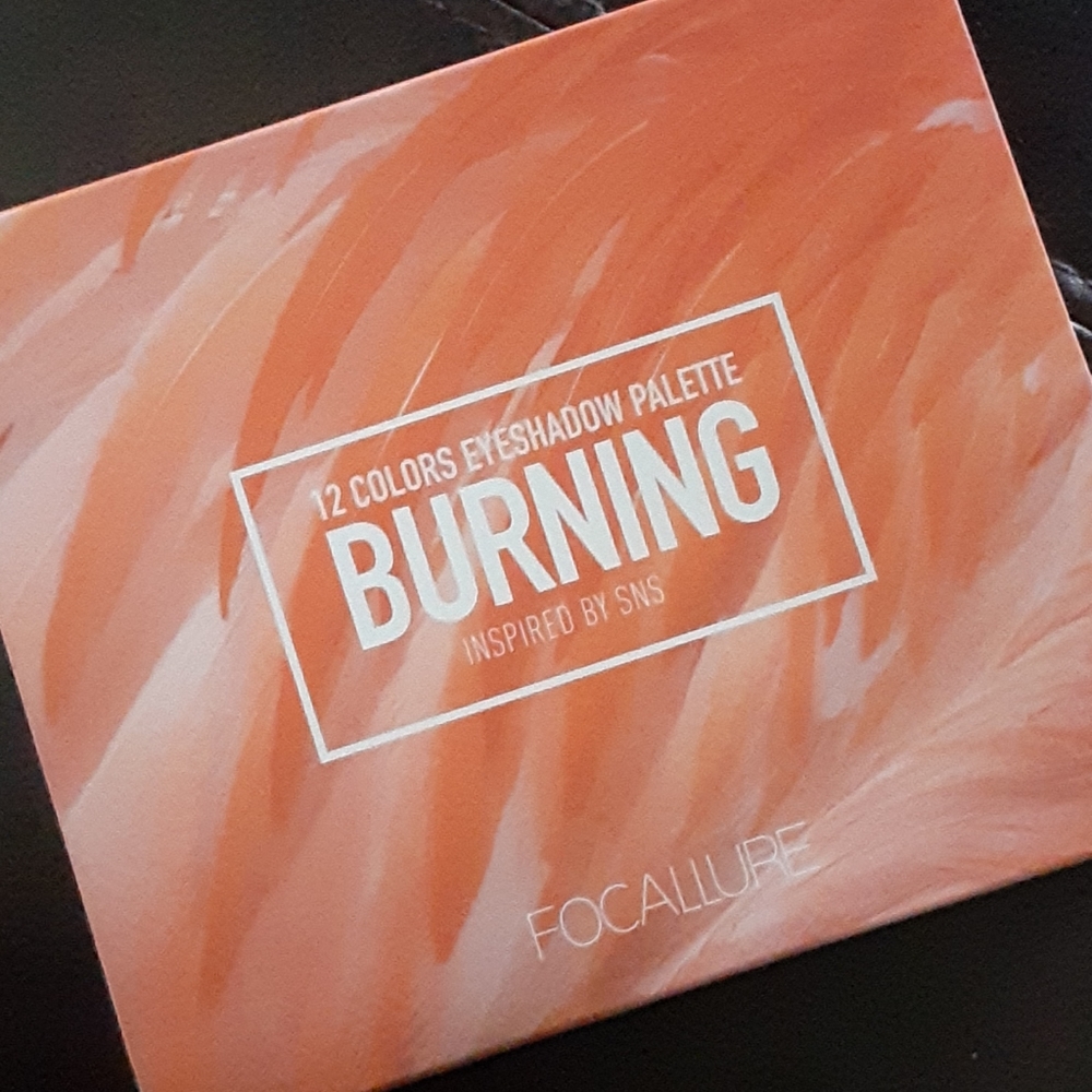 Focallure 12 color burning palette